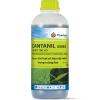Cantanil 550EC 480ml