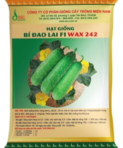 hạt giống Bí đao lai F1: WAX 242 công ty miền nam trái đẹp trái sai
