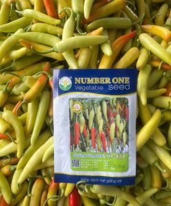 Hạt giống ớt lai f1 Sừng vàng hp888 5G