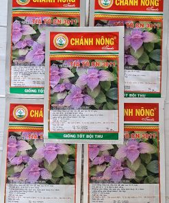 Hạt Giống Tía Tô Chánh Nông 5g