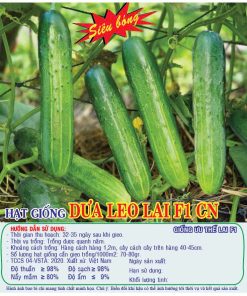Hạt giống DƯA LEO F1 CN gói 10gr tầm 320 hạt