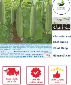 HẠT GIỐNG MƯỚP CAO SẢN NÔNG TRƯỜNG 10G