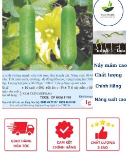 HẠT GIỐNG BÍ ĐAO CHANH F1 NÔNG TRƯỜNG