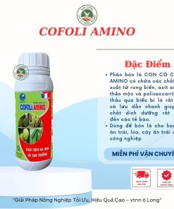 Phân bón lá CON CÒ COFOLI AMINO chiết xuất từ rong biển