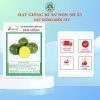 HẠT GIỐNG SEN HỒNG 0931.009.377 - Ảnh 64