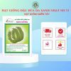 HẠT GIỐNG SEN HỒNG 0931.009.377 - Ảnh 75
