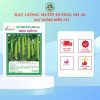 HẠT GIỐNG SEN HỒNG 0931.009.377 - Ảnh 60