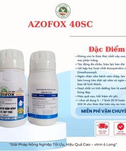 Thuốc trừ bệnh AZFOX 40SC | Đặc trị thư hoa sương mai trái | sử dụng tất cả cây trồng