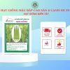 HẠT GIỐNG SEN HỒNG 0931.009.377 - Ảnh 58