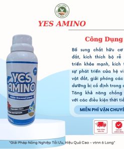 YES AMINO phân bón hữu cơ | [Xanh lá, mập bông, to trái]