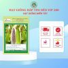 HẠT GIỐNG SEN HỒNG 0931.009.377 - Ảnh 72