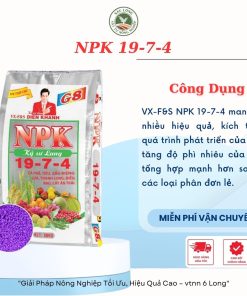 Phân 19-7-4 hạt tím Dien Khanh 50kg