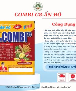 COMBI G8 DIÊN KHÁNH