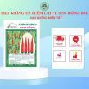HẠT GIỐNG SEN HỒNG 0931.009.377 - Ảnh 34