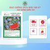 HẠT GIỐNG SEN HỒNG 0931.009.377 - Ảnh 30