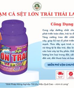 đạm cá sệt Lớn Trái Thái Lan diên khánh chai 700ml