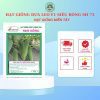 HẠT GIỐNG SEN HỒNG 0931.009.377 - Ảnh 24