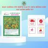 HẠT GIỐNG SEN HỒNG 0931.009.377 - Ảnh 20