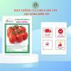 HẠT GIỐNG SEN HỒNG 0931.009.377 - Ảnh 18