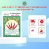 HẠT GIỐNG SEN HỒNG 0931.009.377 - Ảnh 17
