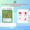 HẠT GIỐNG SEN HỒNG 0931.009.377 - Ảnh 13