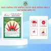 HẠT GIỐNG SEN HỒNG 0931.009.377 - Ảnh 10