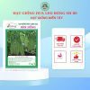 HẠT GIỐNG SEN HỒNG 0931.009.377 - Ảnh 8