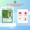 HẠT GIỐNG SEN HỒNG 0931.009.377 - Ảnh 7