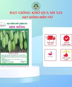 KHỔ QUA 525 SEN HỒNG