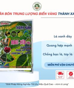 VELAX Biến vàng Thành xanh | phân bón trung lượng 1kg