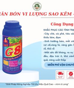 sao KẼM g8 vàng thành xanh