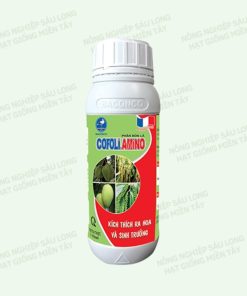 COFOLI AMINO 250ml – TĂNG TRƯỞNG MẠNH, KÍCH THÍCH RA HOA TẬP TRUNG, NÂNG CAO CHẤT LƯỢNG (Sao chép)