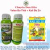 chuyên Dưa Hấu BO THÁI Kali Bo Zn