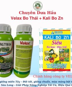 chuyên Dưa Hấu BO THÁI Kali Bo Zn