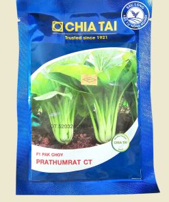 hạt giống F1 CẢI NGỌT CHIA TẢI gói 50gr