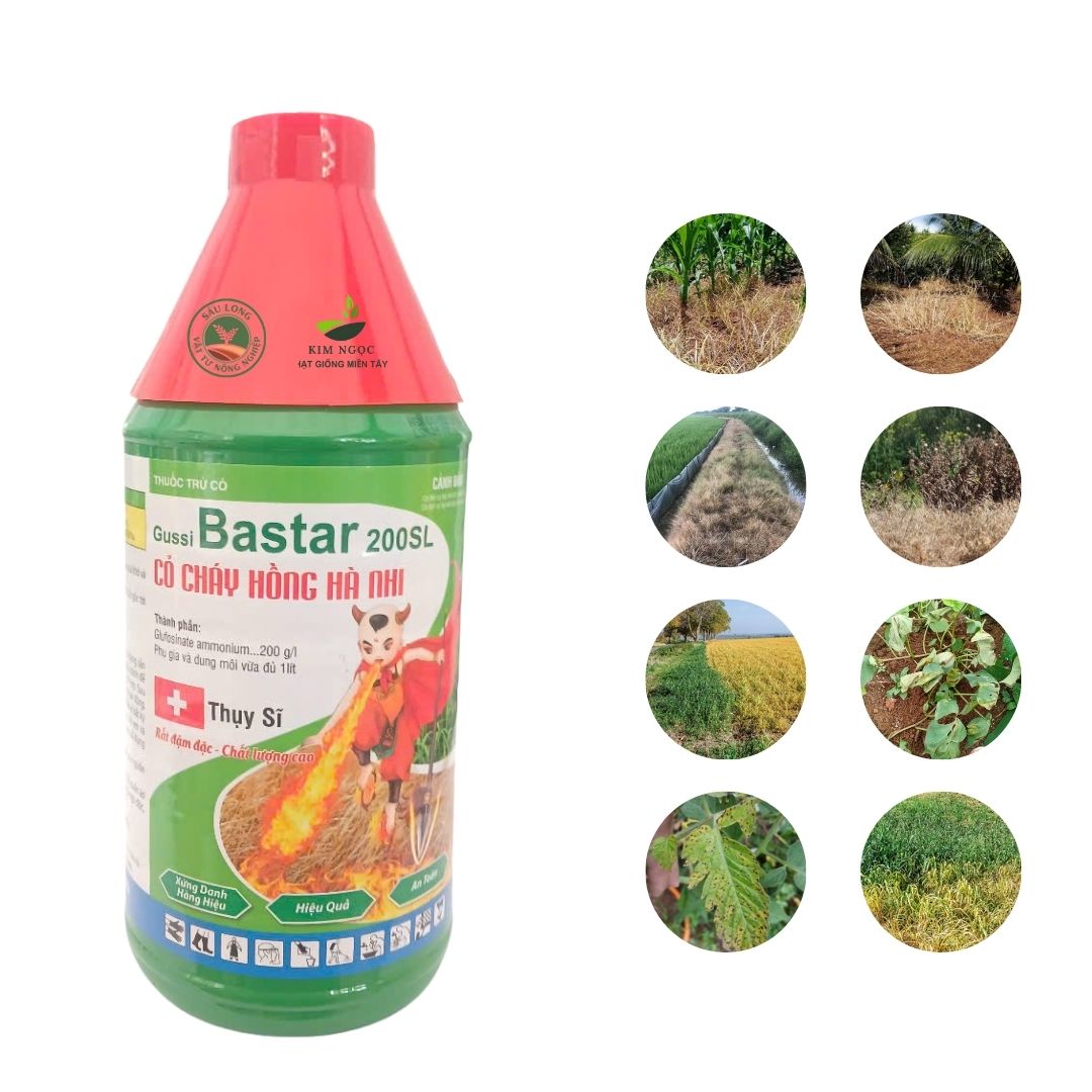 GUSSI BASTAR 200SL Cỏ Cháy Hồng Hà Nhi