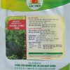Gói 20gr Hạt giống Dưa Hấu lai F1 Phù Sa Ngọt LỘC TRỜI - Ảnh 4