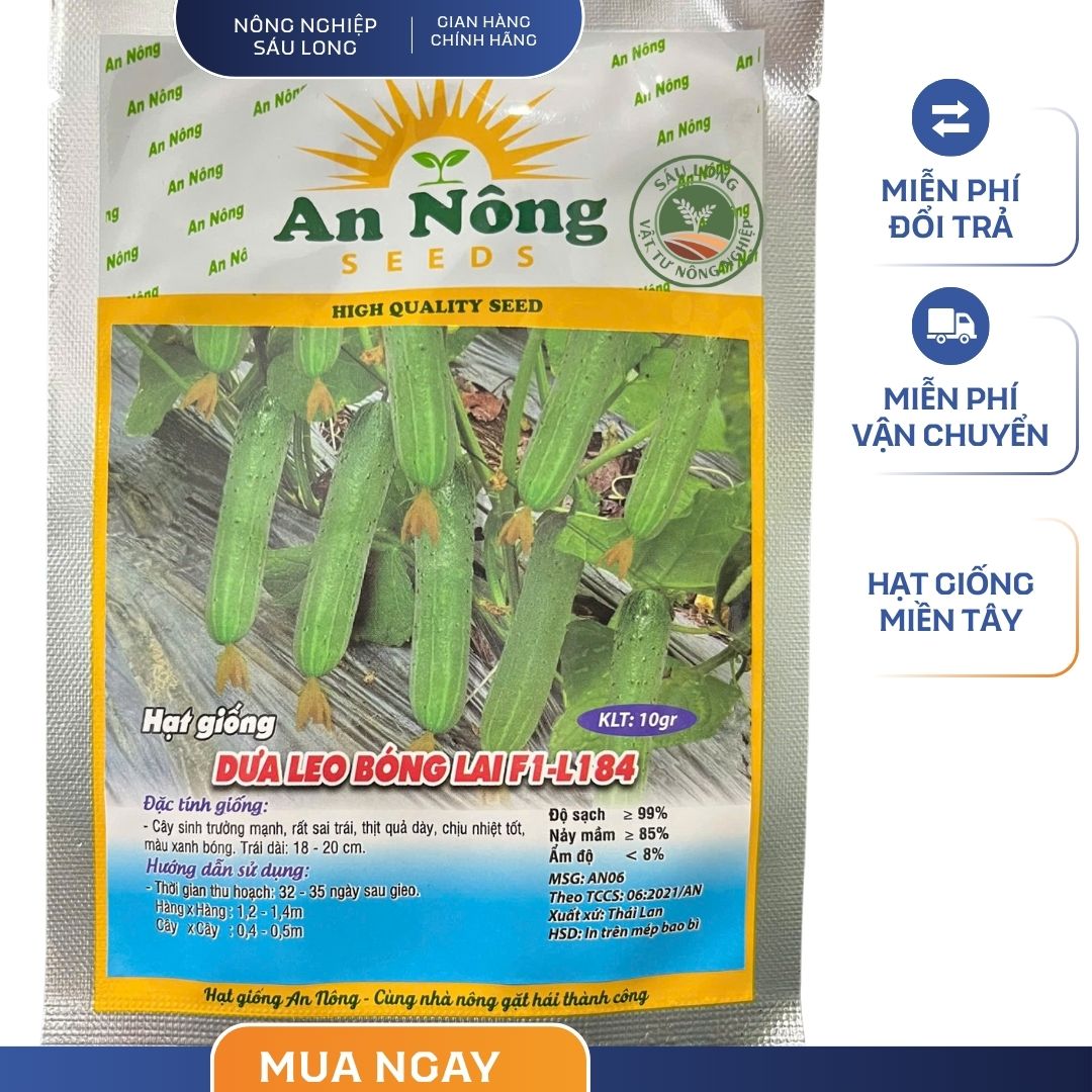 GÓI 10 GRAM - HẠT GIỐNG DƯA LEO BÓNG LAI F1 L184 AN NÔNG - NĂNG SUẤT CAO