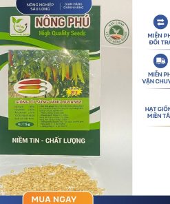 GÓI 5 GRAM - HẠT GIỐNG ỚT SỪNG RIVIAN68 NÔNG PHÚ - NĂNG SUẤT CAO