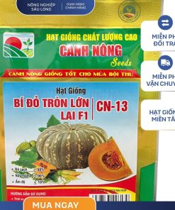 GÓI 10 HẠT - HẠT GIỐNG BÍ ĐỎ TRÒN LỚN LAI F1 CN13 CANH NÔNG