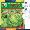 GÓI 5 GRAM - HẠT GIỐNG XÀ LÁCH BÚP NHIỆT ĐỚI CN81 CANH NÔNG