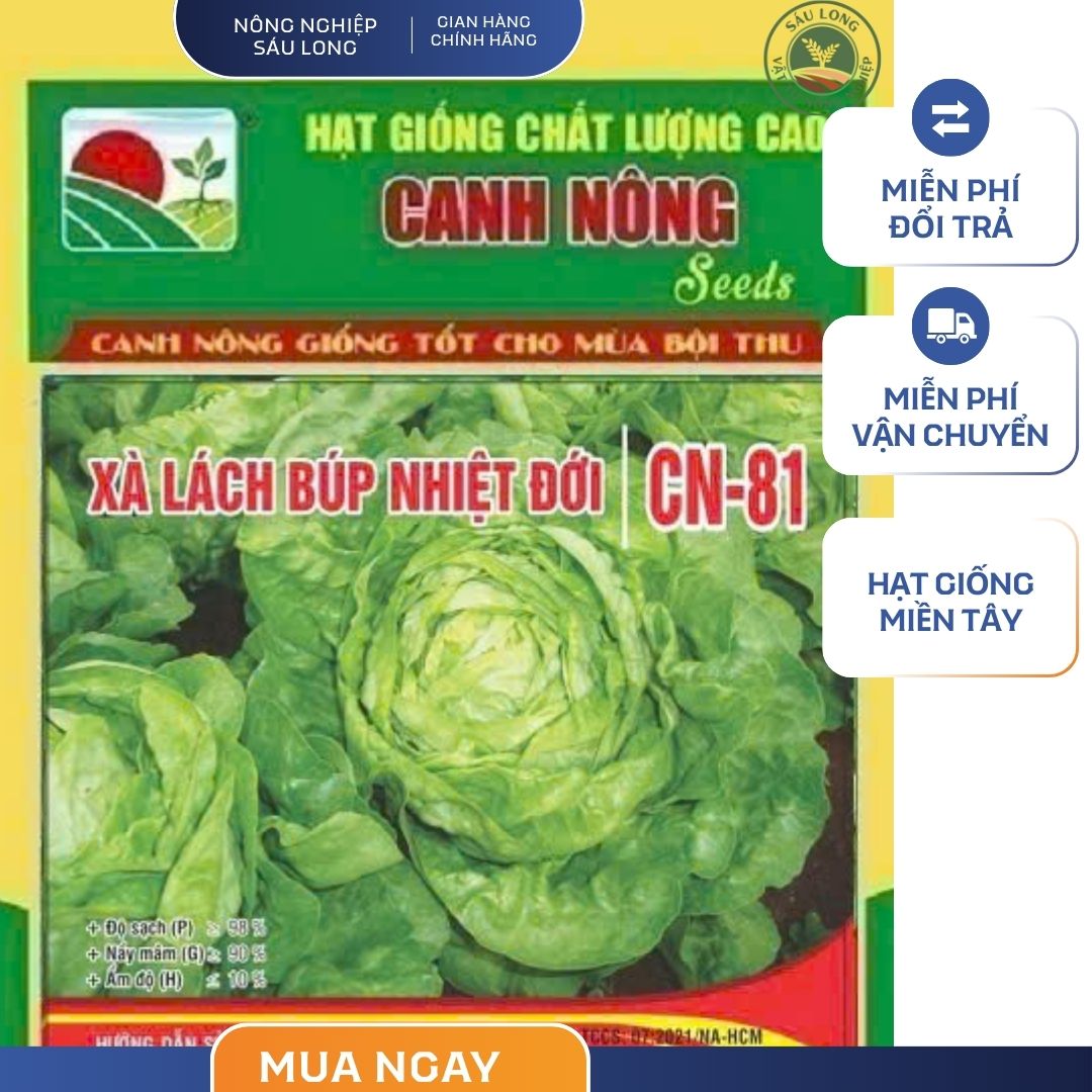 GÓI 5 GRAM - HẠT GIỐNG XÀ LÁCH BÚP NHIỆT ĐỚI CN81 CANH NÔNG