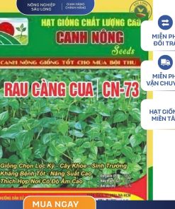 GÓI 0.5 GRAM - HẠT GIỐNG RAU CÀNG CUA CN73 CANH NÔNG