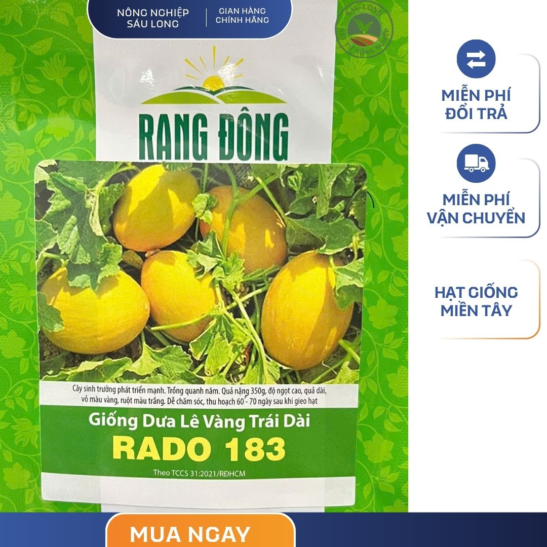 GÓI 0.5 GRAM – HẠT GIỐNG DƯA LÊ VÀNG TRÁI DÀI RADO 183 RẠNG ĐÔNG