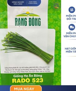 GÓI 1 GRAM – HẠT GIỐNG HẸ ĂN BÔNG RADO 523 RẠNG ĐÔNG
