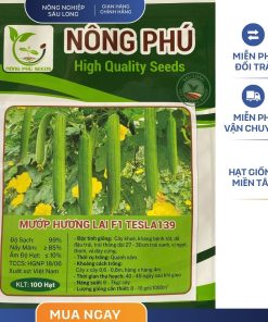 GÓI 100 HẠT - HẠT GIỐNG MƯỚP HƯƠNG TESLA 139 NÔNG PHÚ - NĂNG SUẤT CAO