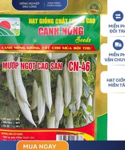 GÓI 5 GRAM - HẠT GIỐNG MƯỚP NGỌT CN46 CANH NÔNG