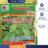 GÓI 5 GRAM - HẠT GIỐNG RAU QUẾ TRẮNG CN951 CANH NÔNG