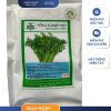 GÓI 100G - HẠT GIỐNG NGÒ RÍ HẠT LỚN V15 NÔNG NGHIỆP VIỆT - NĂNG SUẤT CAO