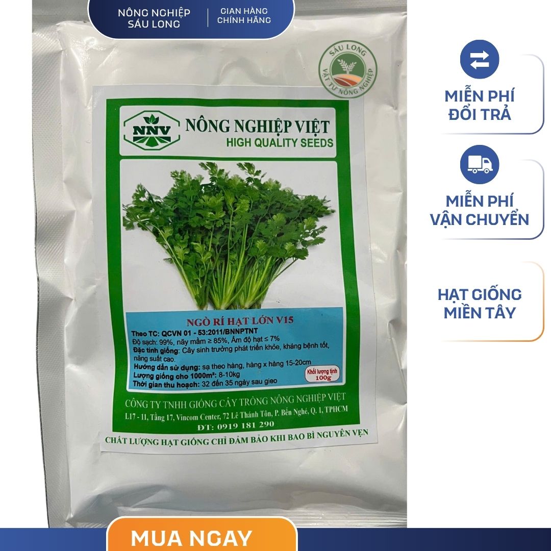 GÓI 100G - HẠT GIỐNG NGÒ RÍ HẠT LỚN V15 NÔNG NGHIỆP VIỆT - NĂNG SUẤT CAO